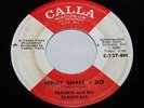 FRANKIE AND THE CLASSICALS  What Shall I Do  NORTHERN SOUL 45 ON CALLA *HEAR*