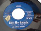 Rare 45 Soul R&B The Continders on Blue Sky Mr Dee Jay // Yes I do strong VG