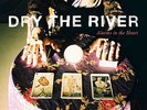 DRY THE RIVER Alarms in the Heart VINYL LP RECORD Brand New + CD