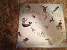 STRAITJACKET FITS-HAIL- 1988 Flying Nun Records New Zeeland- LP- Played Once