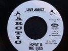 Soul Funk 45 Honey & The Bees Love Addict Dynamite Exploded Arctic NM Condition
