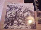 Judas Iscariot-Thy Dying Light  Sombre Records