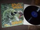 SAVOY BROWN.   LOOKING IN,ORIGINAL LP, DECCA STEREO- SKL- 5066