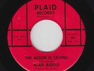 Rockabilly 45 - Alan Riddle - The Moon Is Crying - Plaid - mp3
