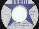 Jah Lloyd & Bingy Bunny - African Culture - ROOTS KILLER
