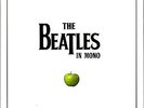 The Beatles in Mono, Limited Ed, 2014. Vinyl LP Box Set. Unopened, Brand New