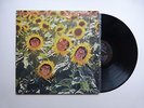 Sunnyboys - Individuals