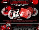 WHITE STRIPES 4 x 7