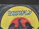 SOULFLY - primitive LP picture disc