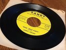 DARRYL VINCENT  WILD, WILD PARTY  SANDY   ROCKABILLY 45  EX