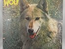 Darryl Way's Wolf - Canis Lupus -  Vinyl LP 1973 - (Curved Air)