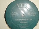 Leprechaun - No End To My Love 12
