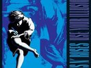 GUNS N ROSES - USE YOUR ILLUSION 2 NEW VINYL