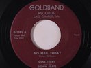 GENE TERRY: No Mail Today / Never Let Her Go 45 Rockabilly