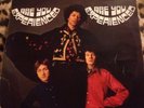 Jimi Hendrix Experience Vinyl LP Records Are You Experienced 1967 Double Ex Con