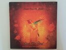 David Crowder Give Us Rest Vinyl Record LP, Christian