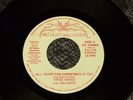VINCE VANCE AND THE VALIANTS 45 RPM All I Want For Christmas is You