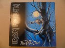 LP IRON MAIDEN-FEAR OF THE DARK (SPANISH EDITION-FIRST EDITION-140 79 9161 1)