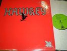 HAWKEY RARE PRIVATE METAL GUITAR HERO