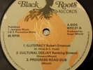 Robert Emmanuel Illiteracy Killer Roots 12