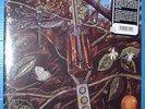 LP-Dragonfly-Same Late 60's US hard Rock Psych Garage
