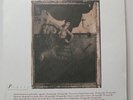 PIXIES 'Surfer Rosa' Vinyl LP NEW