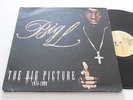 BIG L NM The Big Picture 1974-1999 Fat Joe Tupac AG OC Big Daddy Kane Stan Spit