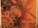 Tiamat Wildhoney 20th Anniversary Limited Edition excl. Europa 200 Orange neu LP