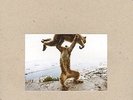 Dude Incredible - 2 DISC SET - Shellac (2014, Vinyl New)