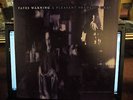 FATES WARNING - A PLEASANT SHADE OF GRAY  1 LP  NOTVD