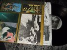 THE SONIC YOUTH : SISTER LP TORSO 33040 NL