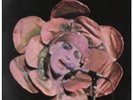 GENESIS  From Genesis To Revelation LP 13 Track Reissue In Peter Gabriel Flower