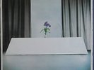 WIRE CHAIRS MISSING LP ORIGINAL UK EMI 1978 HARVEST VINYL  + RARE LILAC INNER