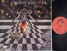 HUMAN EGG s/t RARE ORIG. LIZARD MASSIERA TORELLI COSMIC PROG DISCO LP ?