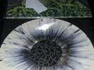 Circle takes the square - as the roots undo  lp oop screamo converge pg.99 isis