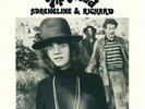 Adreneline & Richard - Pip Proud (2014, Vinyl New)