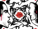 Red Hot Chili Peppers NEW SEALED VINYL LP Blood Sugar Sex Magik *FREE 1ST CLASS