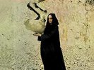 Fleetwood Mac, The Pious Bird of Good Omen, 180gram Vinyl Audiophile pressing.