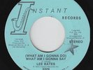 70s Soul 45 - Lee Bates - What Am I Gonna Do/Say - Instant - VG++ mp3