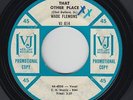 Northern Soul 45 - Wade Flemons - That Other Place - Vee-Jay - mp3