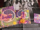 BLUES PILLS lila col. lim. 500 copies + POSTER & FLYER new,unplayed = STILL SEAL