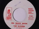 GLEAMS: Mr. Magic Moon / Pile Driver 45 (dj, wol) rare Vocal Groups