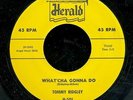 pc45--R&B -Herald 501-Tommy Ridgley