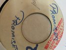 VICEROYS / HUGH ROY - promises b/w sounds of the wise - MATADOR PRE BLANK