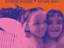 SMASHING PUMPKINS Siamese Dream Remastered 180G Double Vinyl LP NEW & SEALED