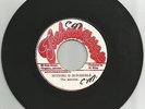 THE INTERNS / NOTHING IS IMPOSSIBLE / VERSION THE HARDY BOYS / 7''/ NM