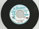 LLOYD PARKS / KUNG FU FIGHTING / BRUCE LEE / SKIN - FLESH & BONES / 7''/ NM