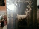 Signify by Porcupine Tree (Vinyl, May-2011, Ais)