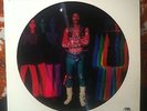 JIMI HENDRIX The Interview RARE PICTURE DISC Rhino Rec. NUDE PICTURE NAKED GIRLS