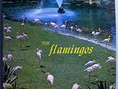 THE FLAMINGOS 1st ALBUM INSANELY RARE ORIG '57 CHECKER BLACK LABEL MONO LP NM